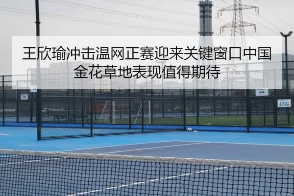 王欣瑜冲击温网正赛迎来关键窗口中国金花草地表现值得期待 - HUPU ESPORTS